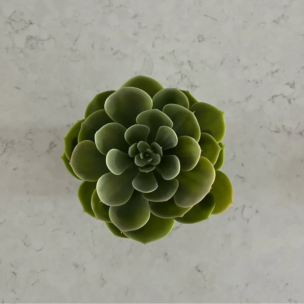 IKEA Succulent Faux Potted Plant